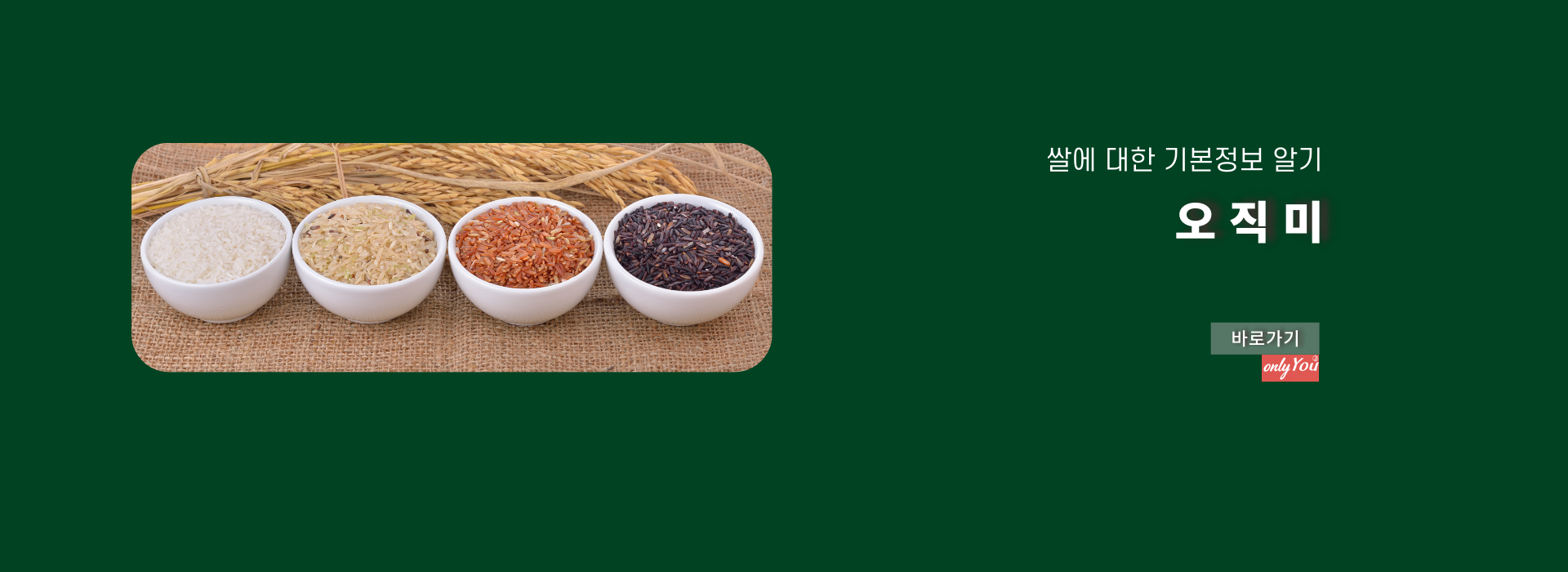 메인 슬라이드4