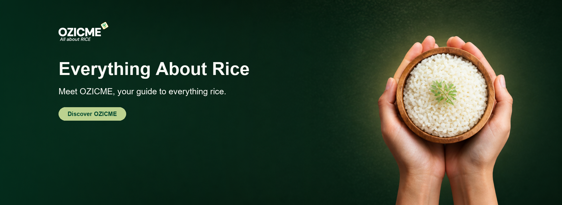 Everything About Rice