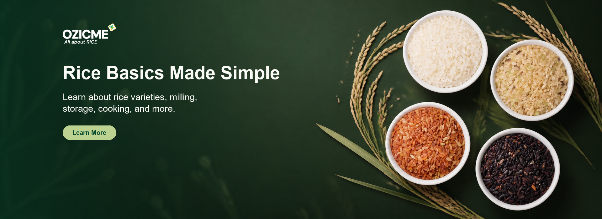 Rice Basics Made Simple
